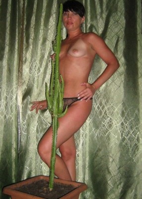 Проститутка Данна